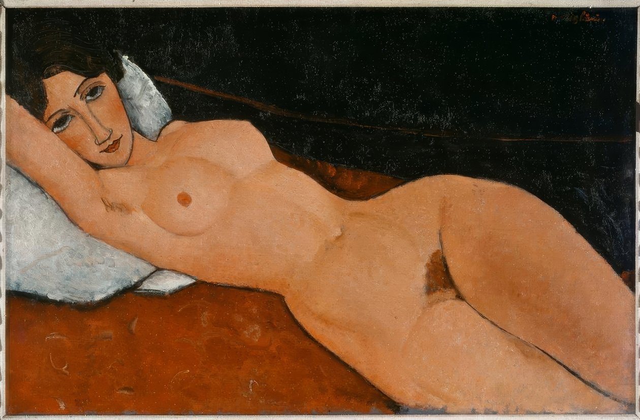 Nudo femminile sdraiato su cuscino bianco da Amedeo Modigliani