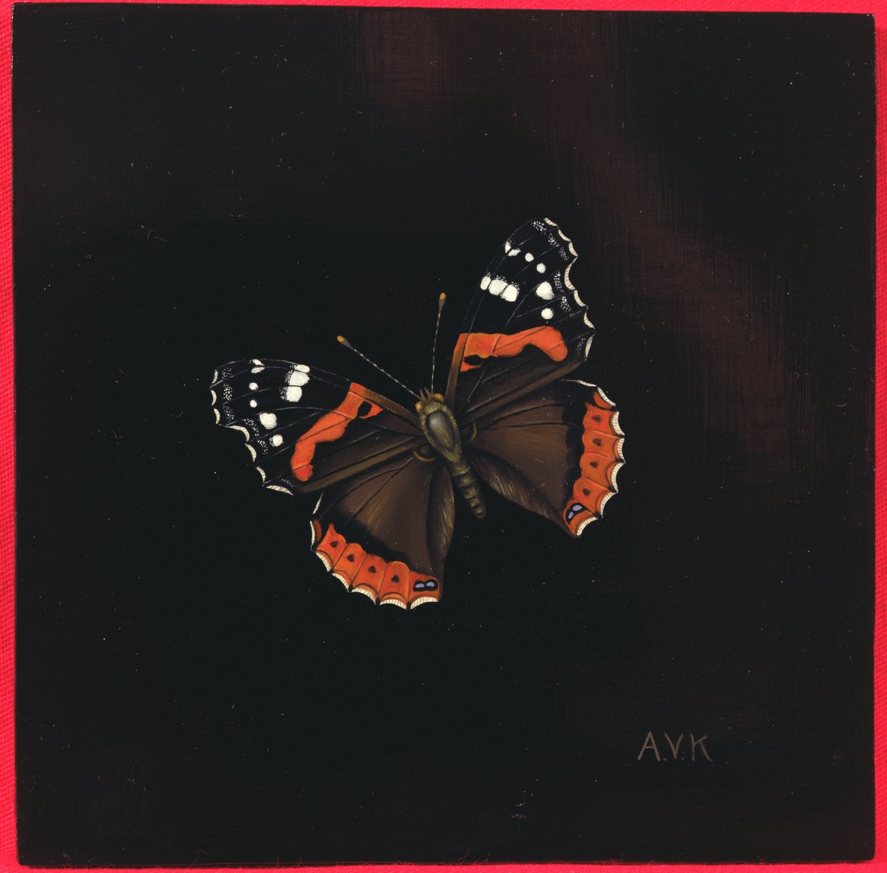 Farfalla Ammiraglio Rosso, 2001 da Amelia Kleiser