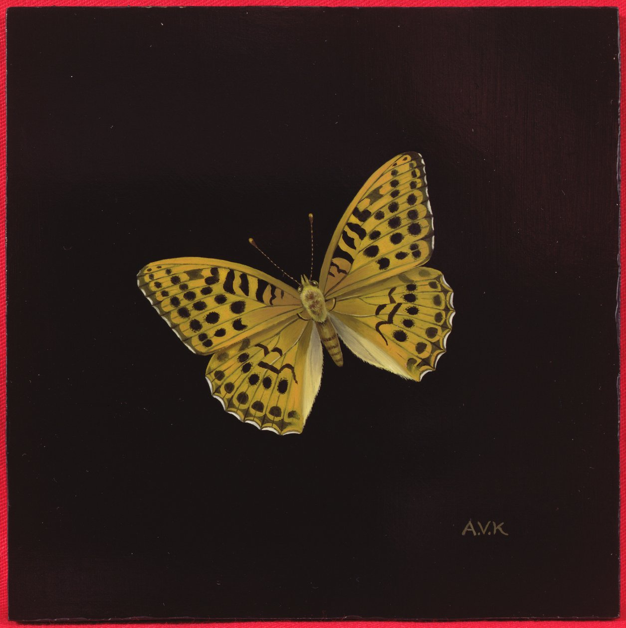 Farfalla Argynnis Paphia, 2000 da Amelia Kleiser