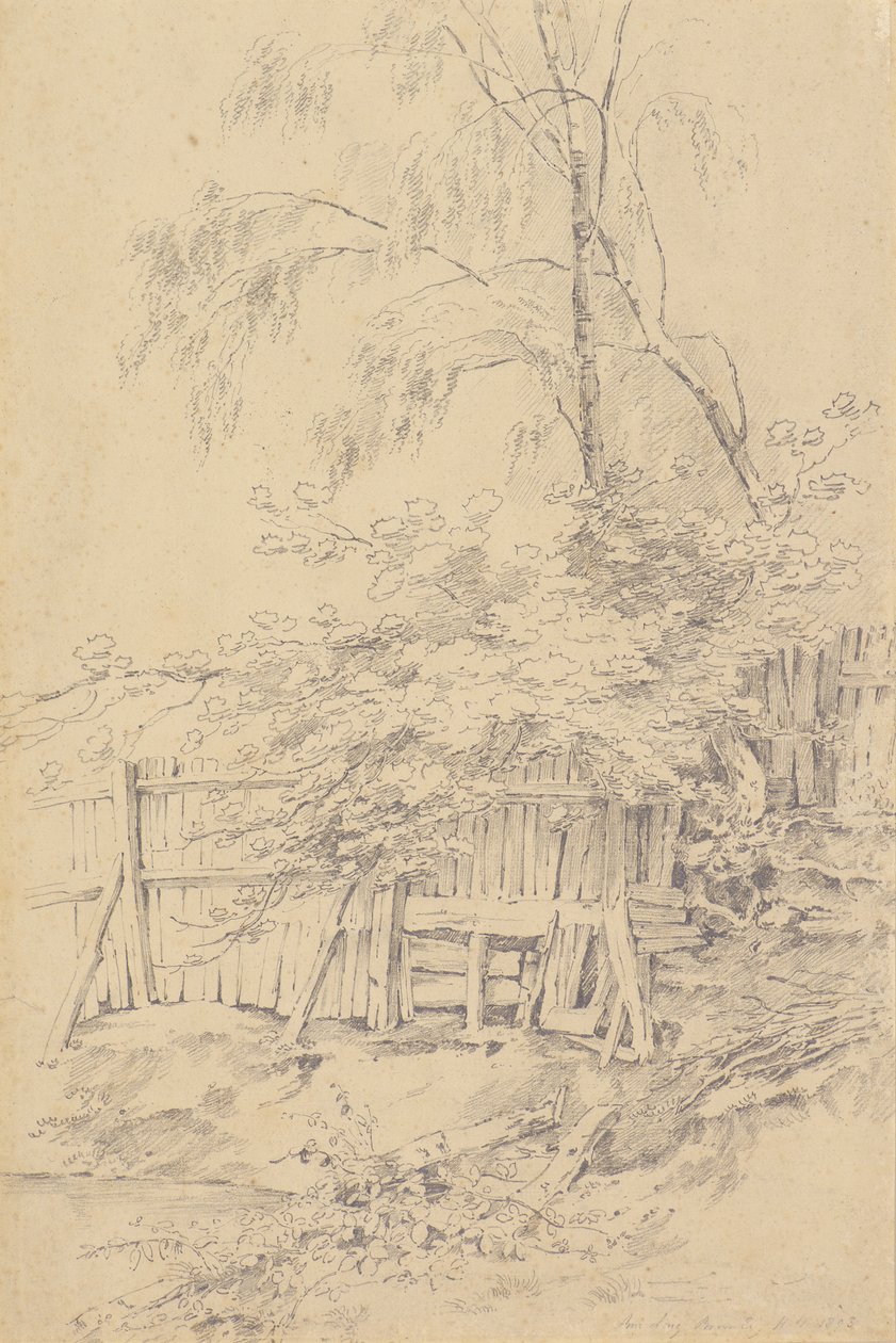 Bromley Hill da Amelia Long