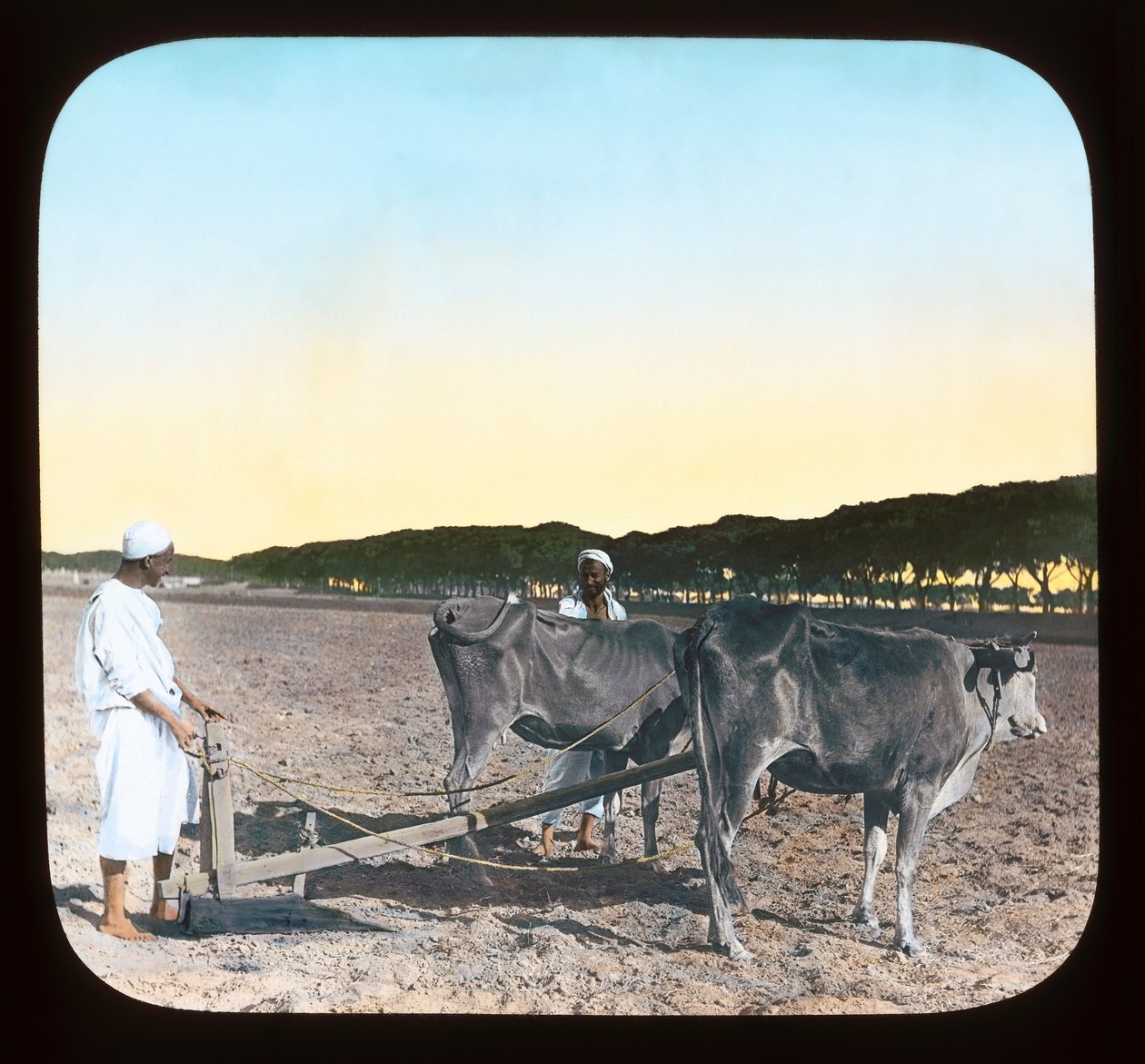 Egitto - Uomini che arano da American Photographer