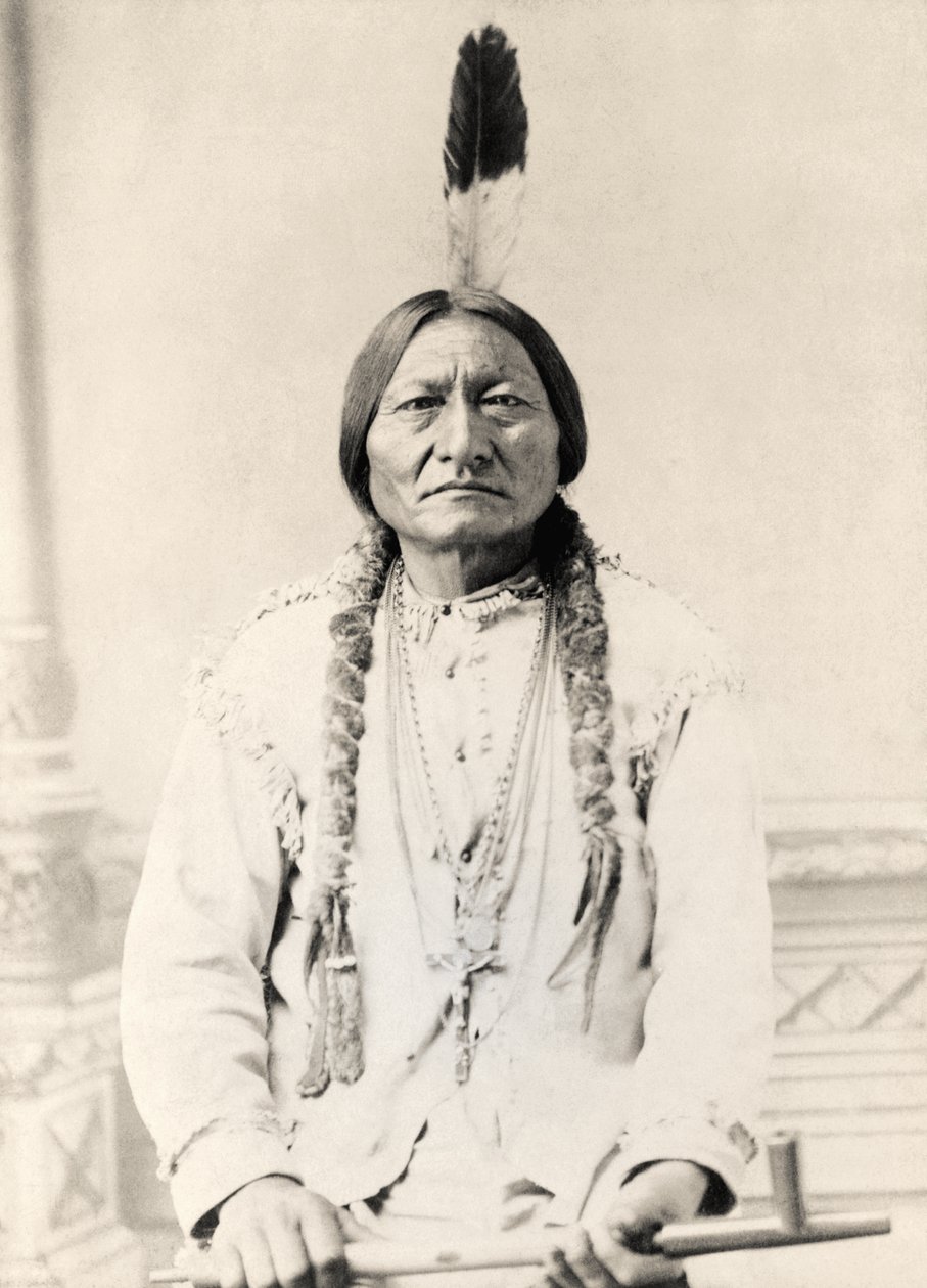 Toro Seduto da American Photographer