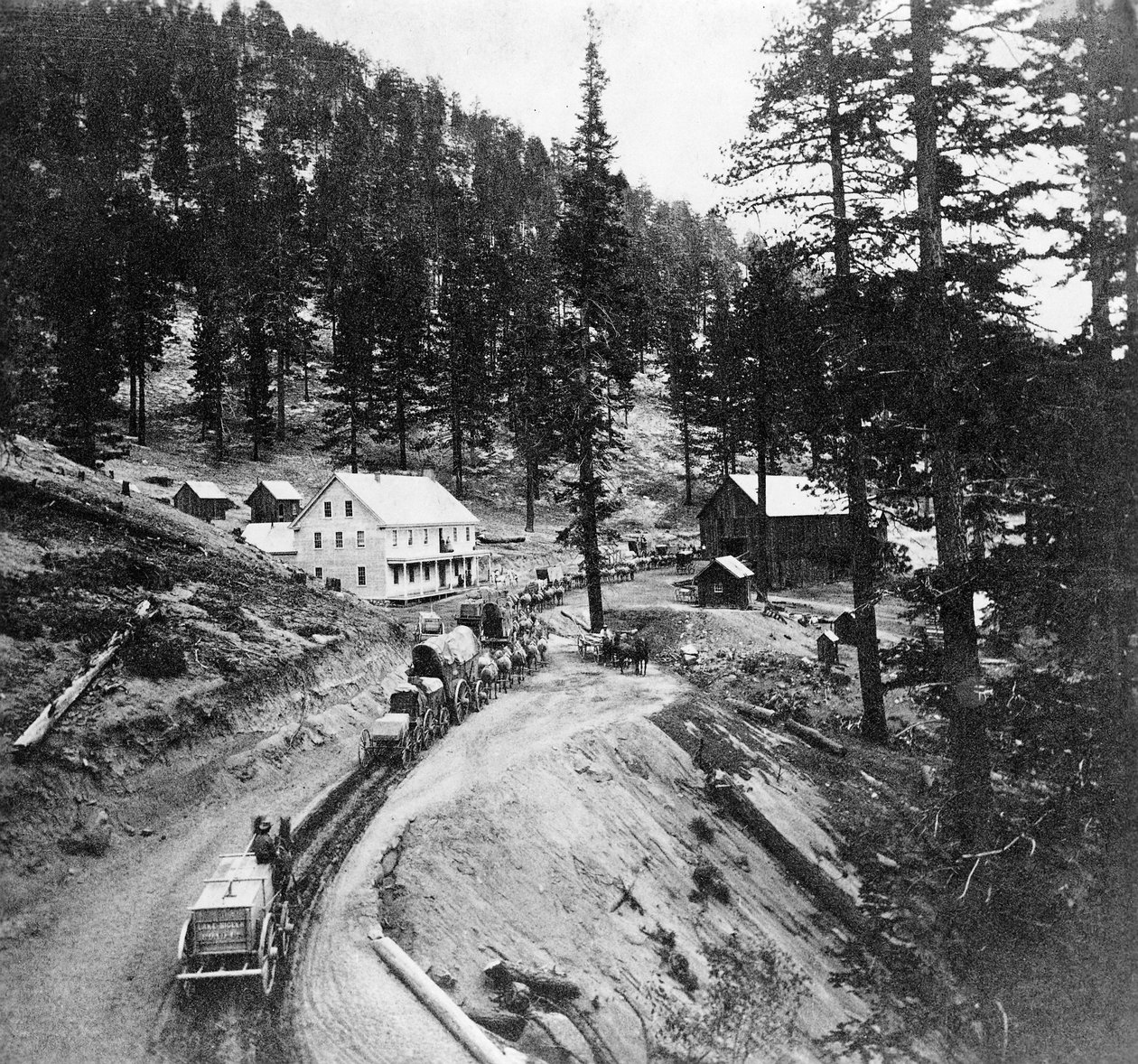 Swifts Station, Carson e Lake Bigler Road, California, da Gems of California Scenery pubblicato da Lawrence e Houseworth, 1866 da American Photographer