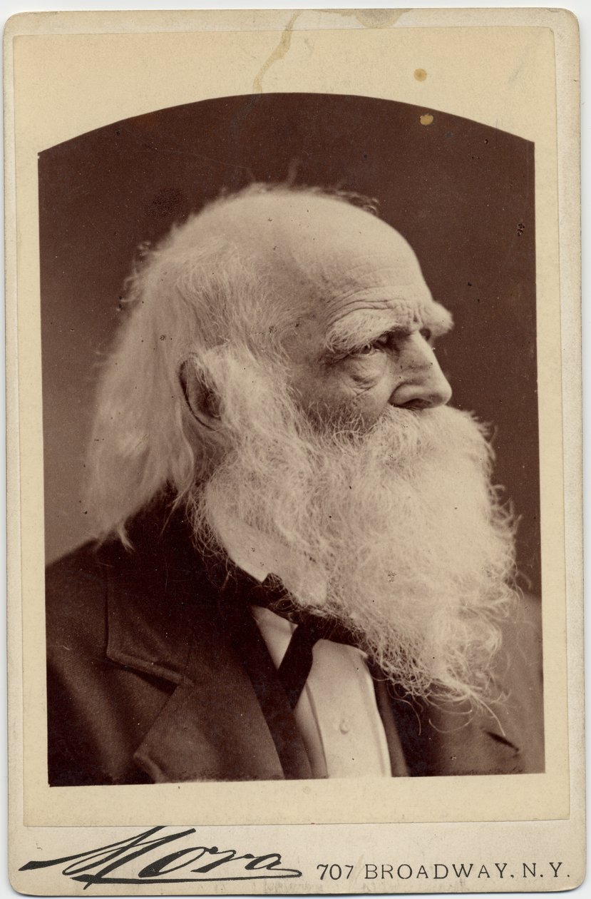 William Cullen Bryant (1794-1878), poeta americano da American Photographer