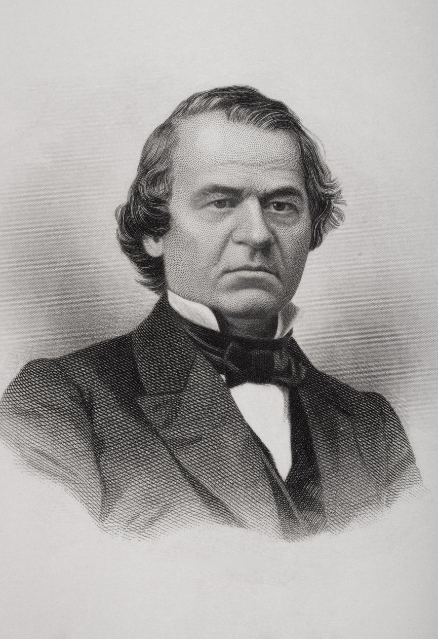 Ritratto di Andrew Johnson da American School