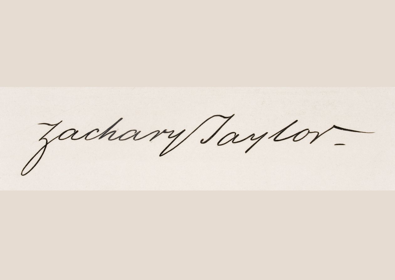 Firma di Zachary Taylor da American School