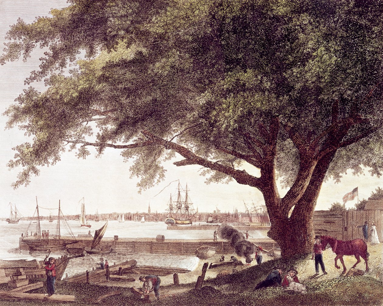 La città e il porto di Filadelfia, sul fiume Delaware, da Kensington, 1800 da American School