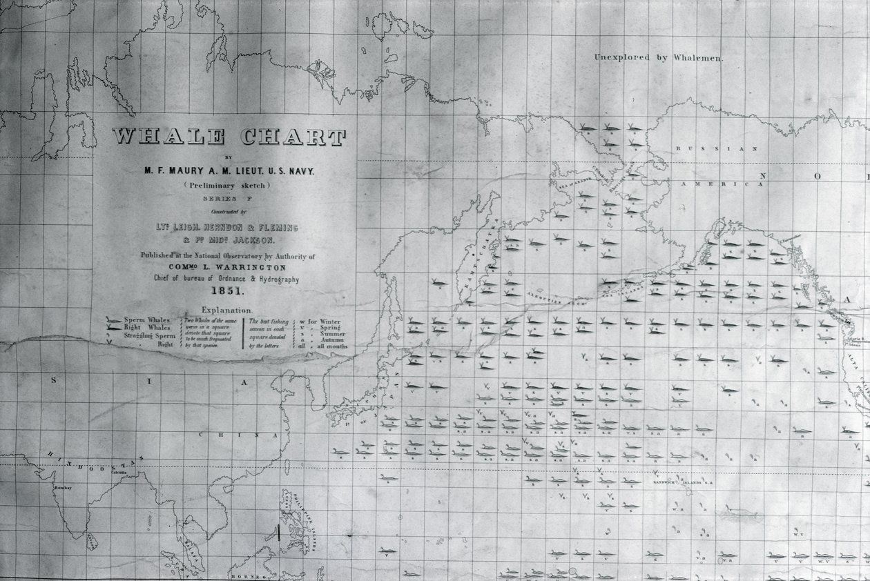 Carta delle balene del Pacifico settentrionale, 1851 da American School