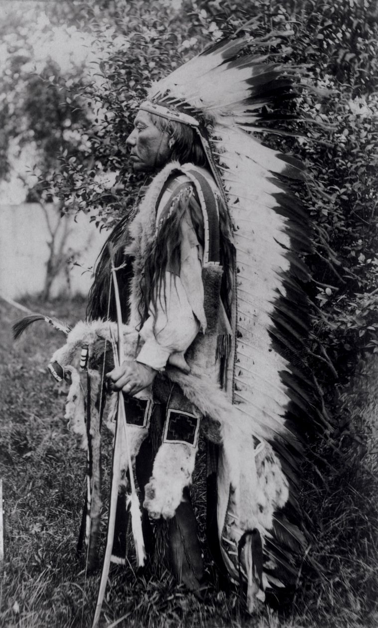 Lupo Bianco, un capo Comanche, c.1891-98 da American School
