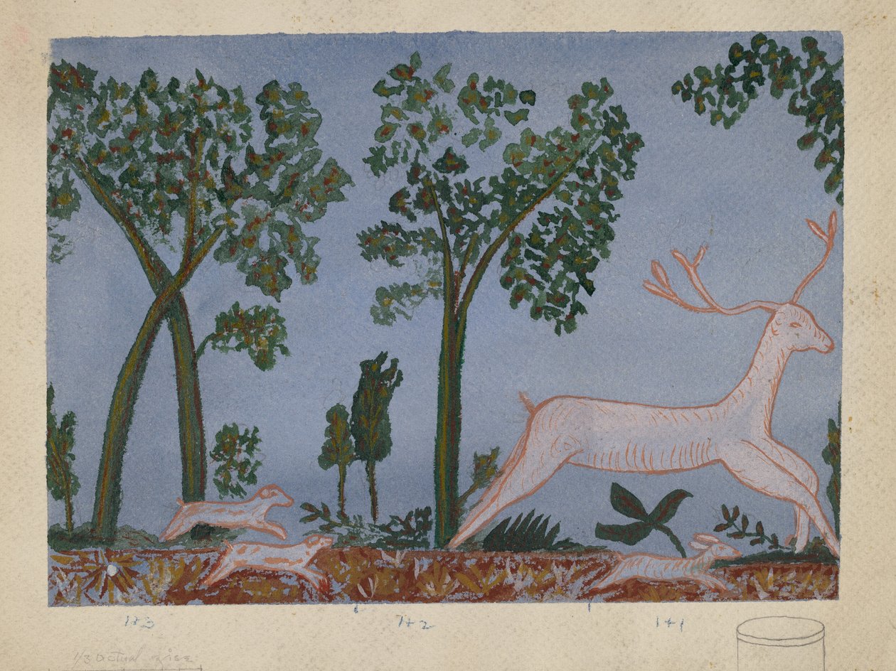 Design per scatola di cartone da American 20th Century