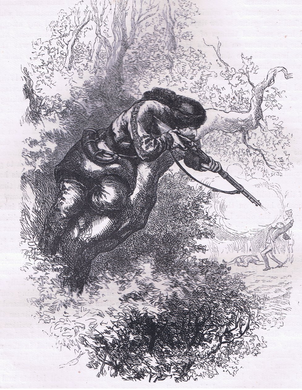 Tiratore americano su un albero, illustrazione da Cassells History of the United States pubblicata da Cassell, Petter & Galpin, c.1900 da American English school
