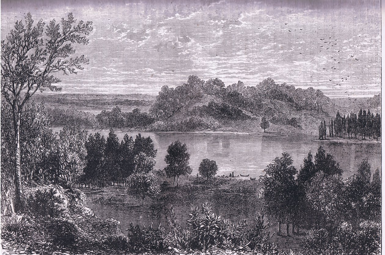 La valle del Mississippi da American English school