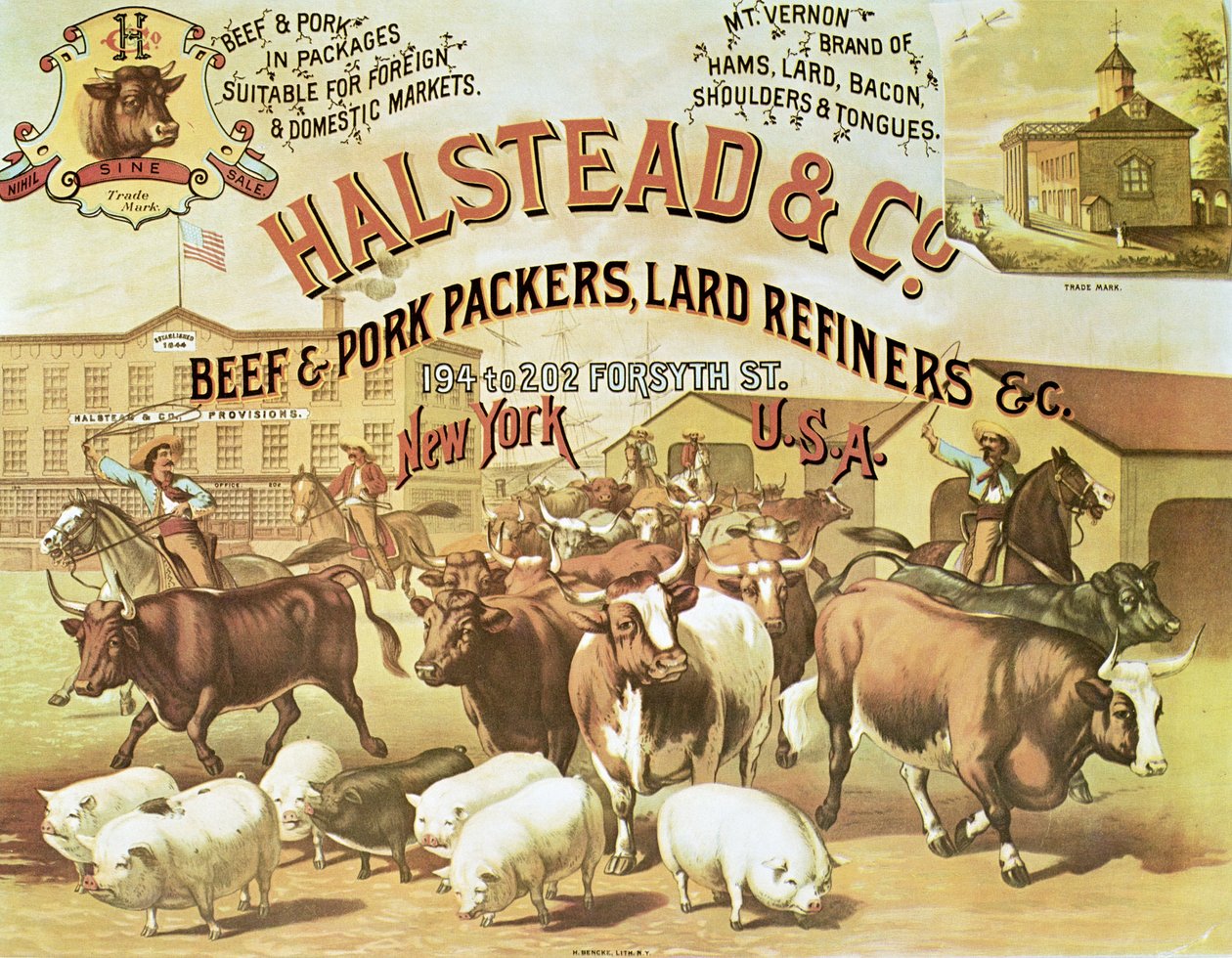 Confezionatori di carne bovina e suina, c.1880 da American Photographer