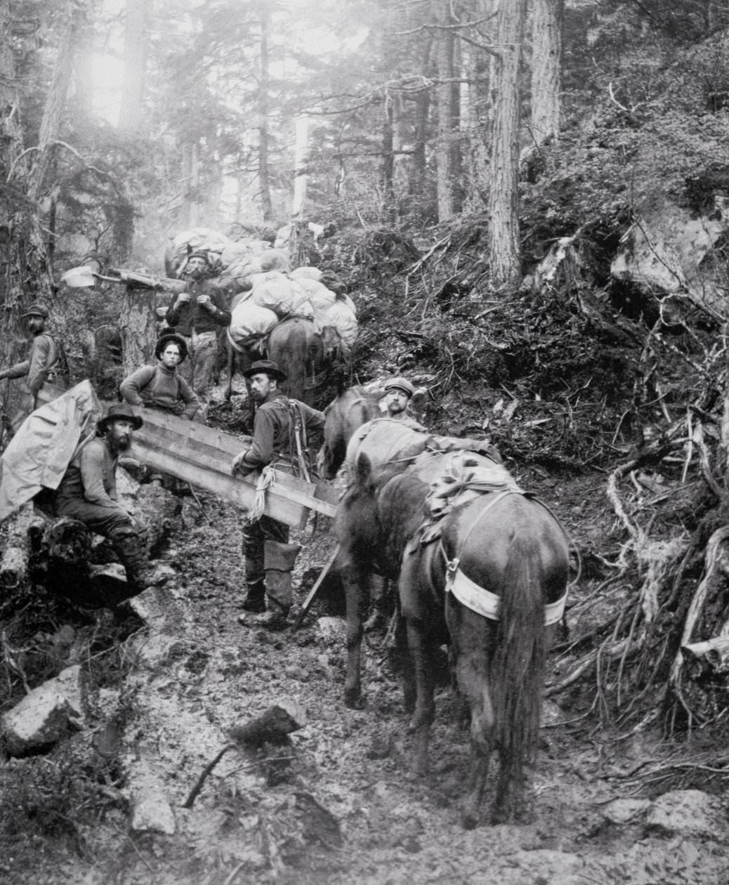 Scalare il sentiero Dyea sulla strada per il Passo Chilkoot durante la corsa all