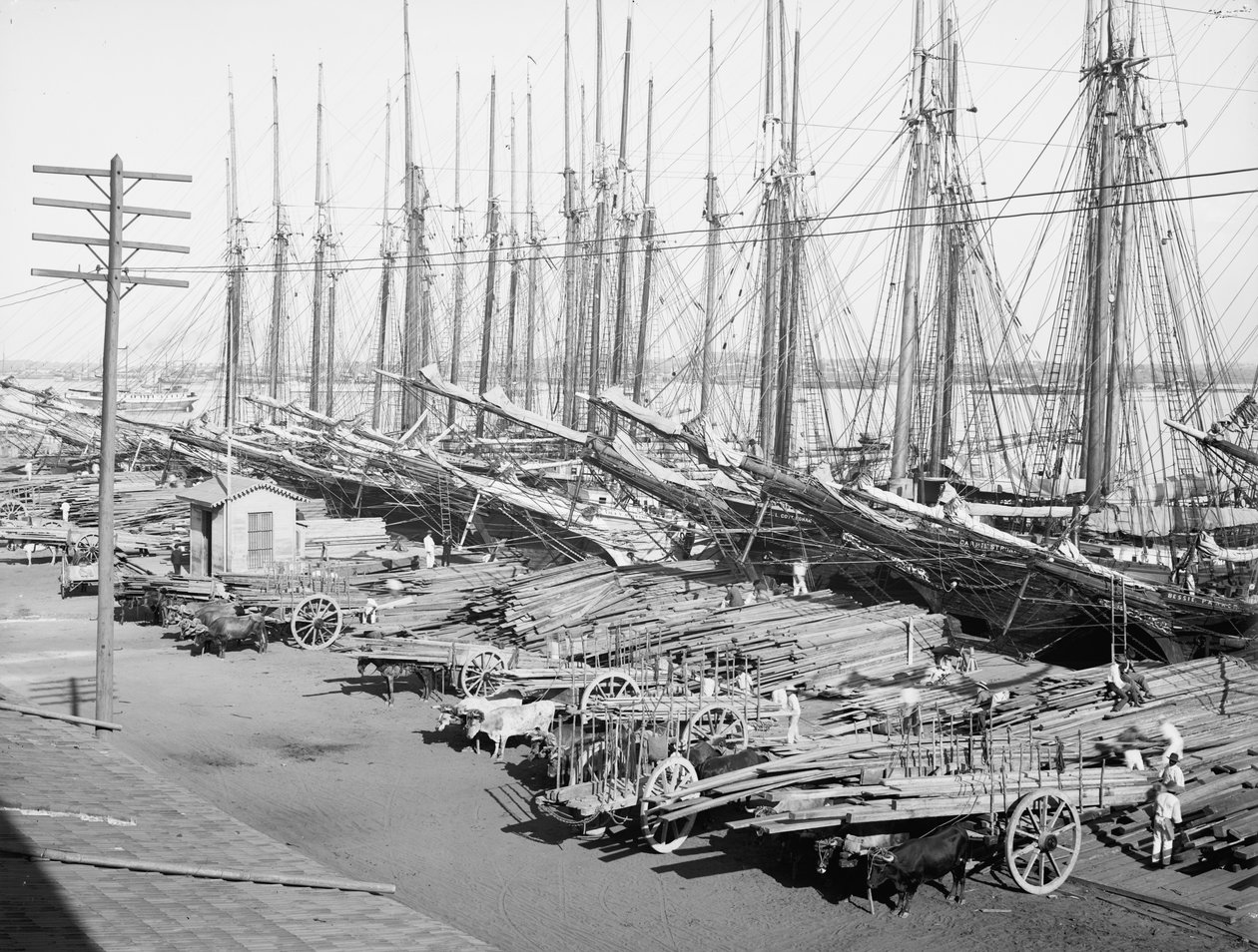 Muelle Tallapiedras, L