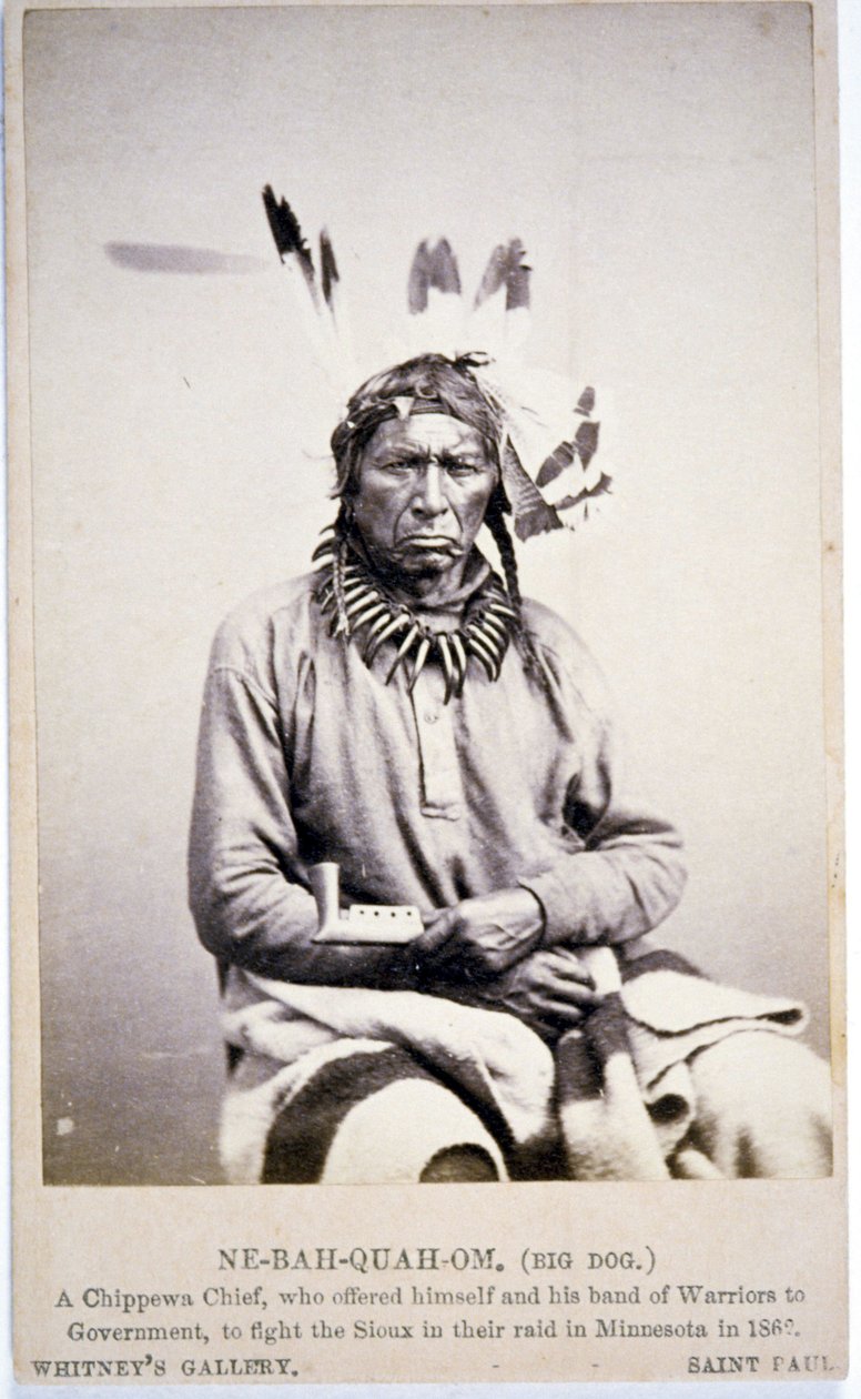 NE-BAH-QUAH-OM, Grande Cane, Capo Chippewa, si offrì di combattere i Sioux in Minnesota da American Photographer