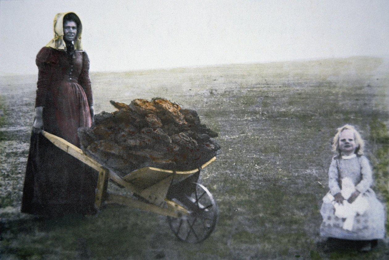 Donna pioniera che raccoglie sterco di bovino, Kansas, c.1880 da American Photographer