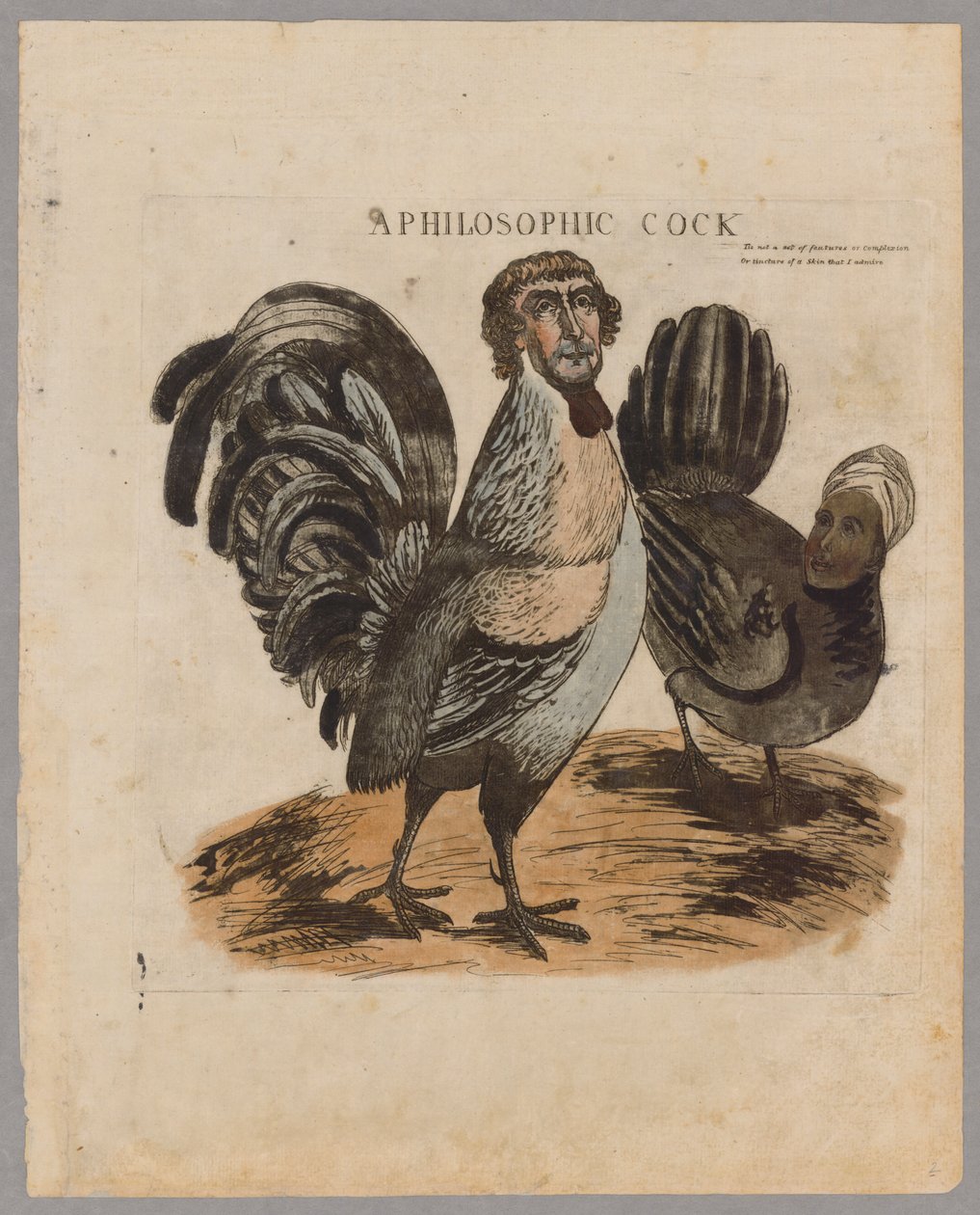 Un Gallo Filosofico, 1804 da American School