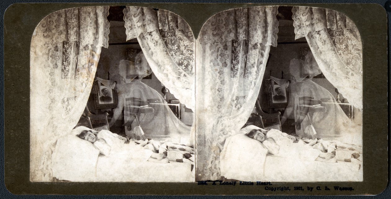 Un piccolo cuore solitario, 1901 (stereografia) da American School