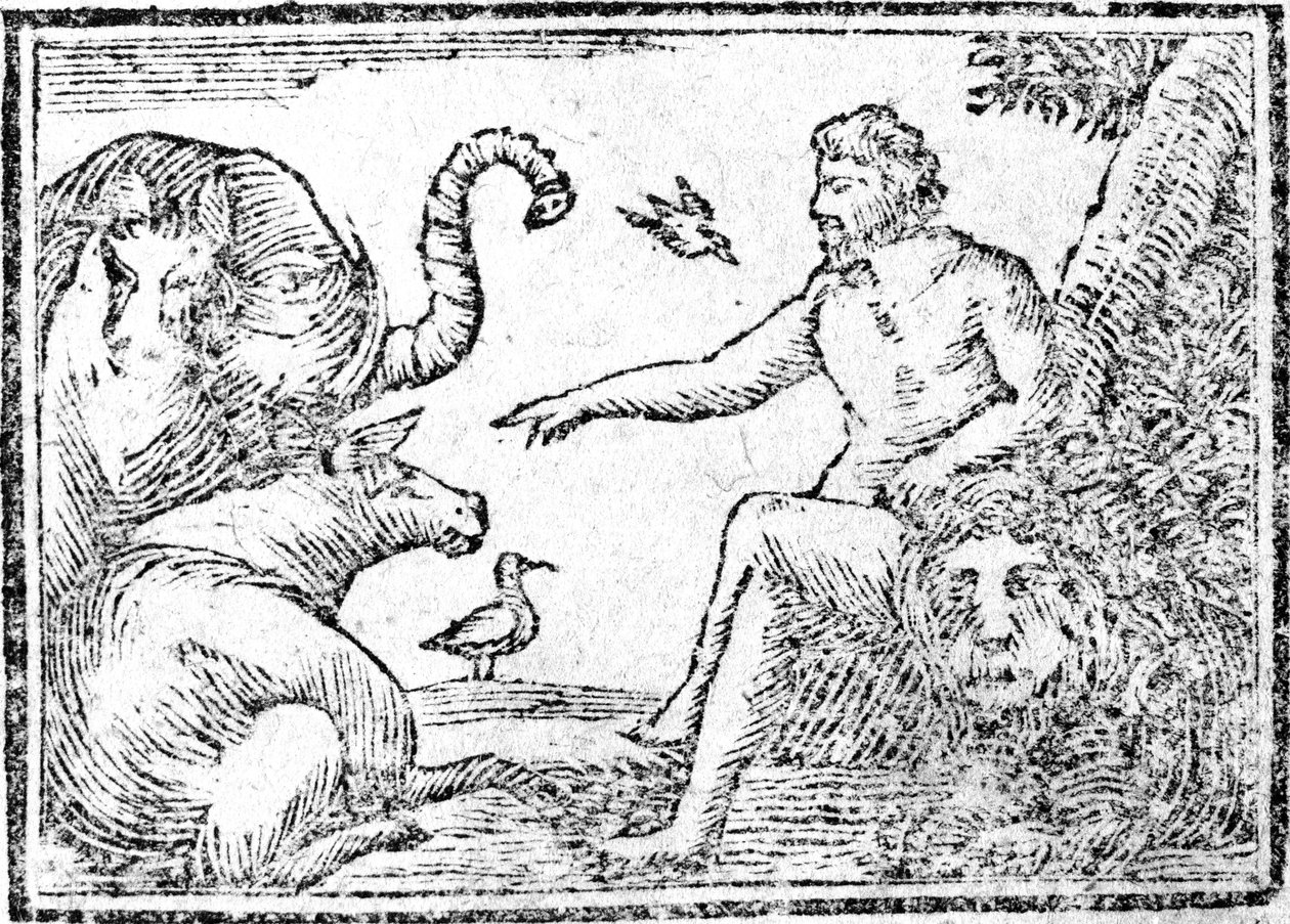 Adamo che nomina gli animali, illustrazione da Un compendio della storia della Sacra Bibbia, pubblicato 1794 da American School