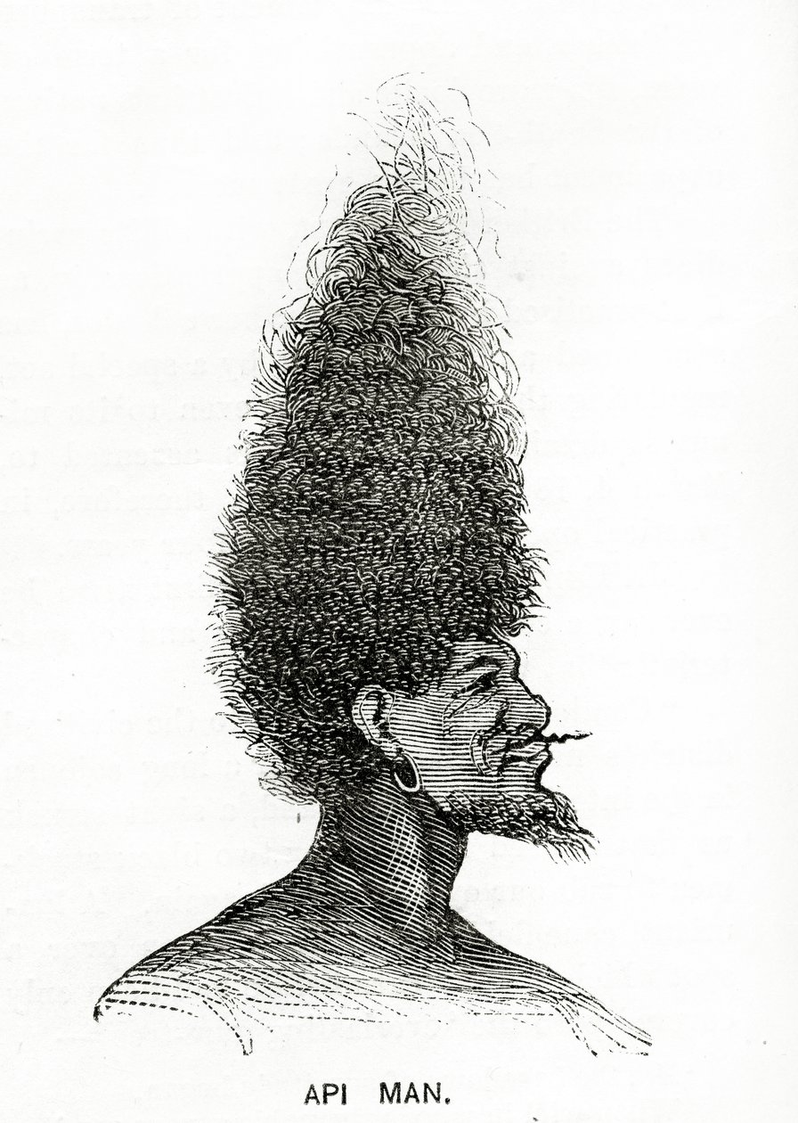 Uomo Api, illustrazione da Appletons Journal, 4 maggio 1872 da American School