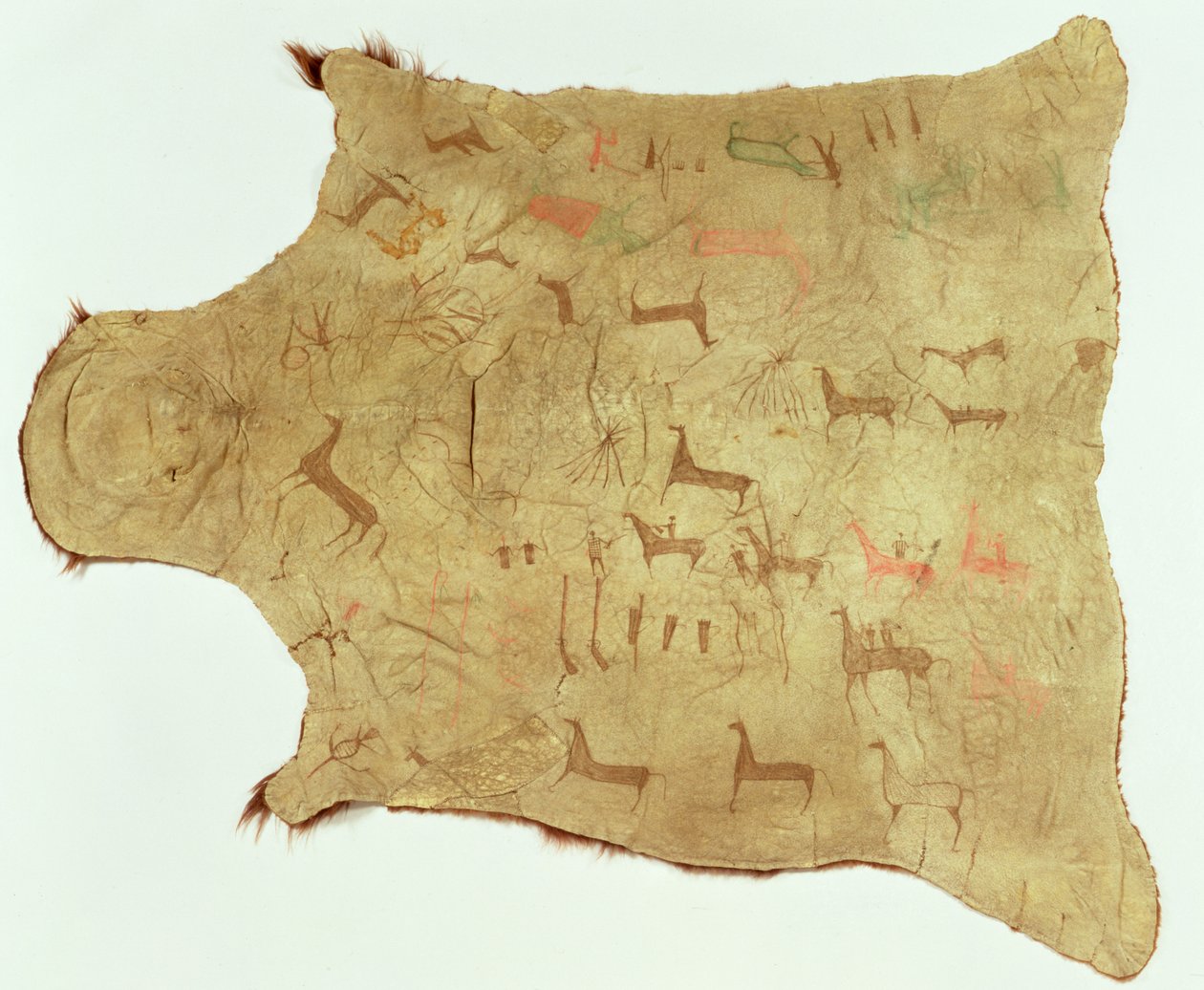 Vestaglia di bufalo, 1850-75 circa (pelle di bufalo e stampa) da American School
