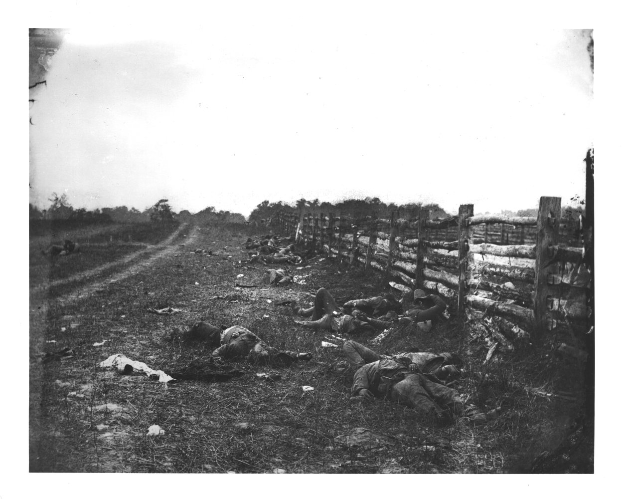 Morti confederati lungo il lato ovest di Hagerstown Pike, Battaglia di Antietam, 19 settembre 1862 da American School
