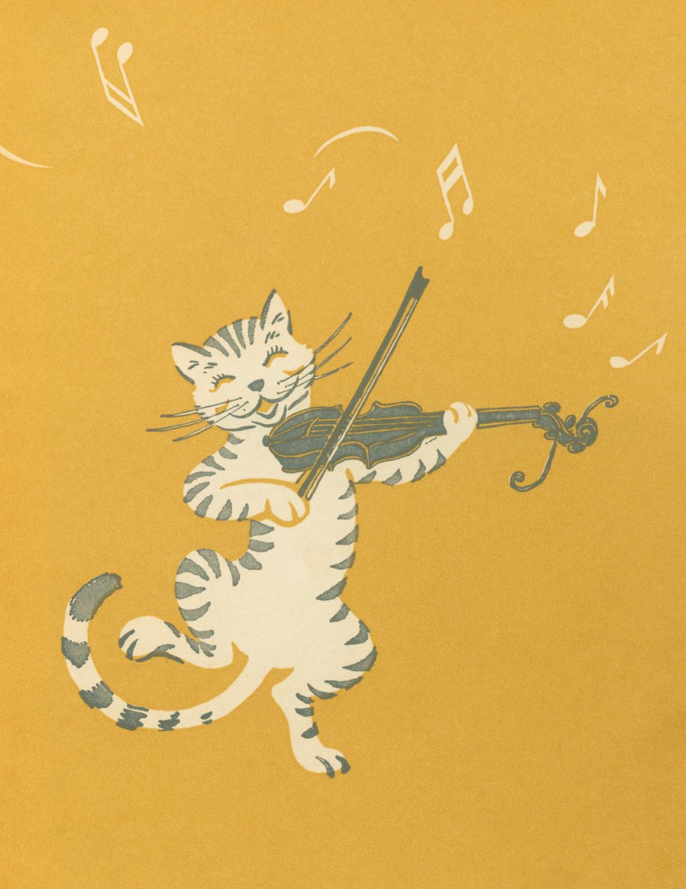 Gatto ballerino che suona il violino da American School