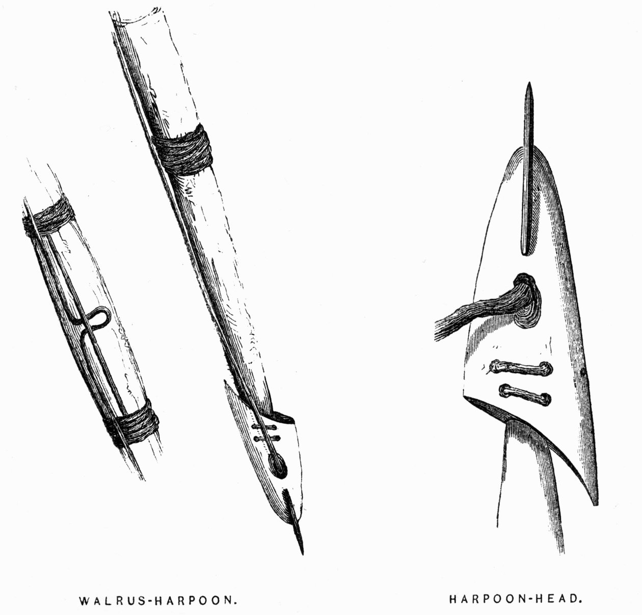 Strumenti di caccia eschimesi: arpioni - Elisha Kent Kane, Artic Exlorations negli anni 1853-1855, vol. 1, p. 412, Philadelphia da American School