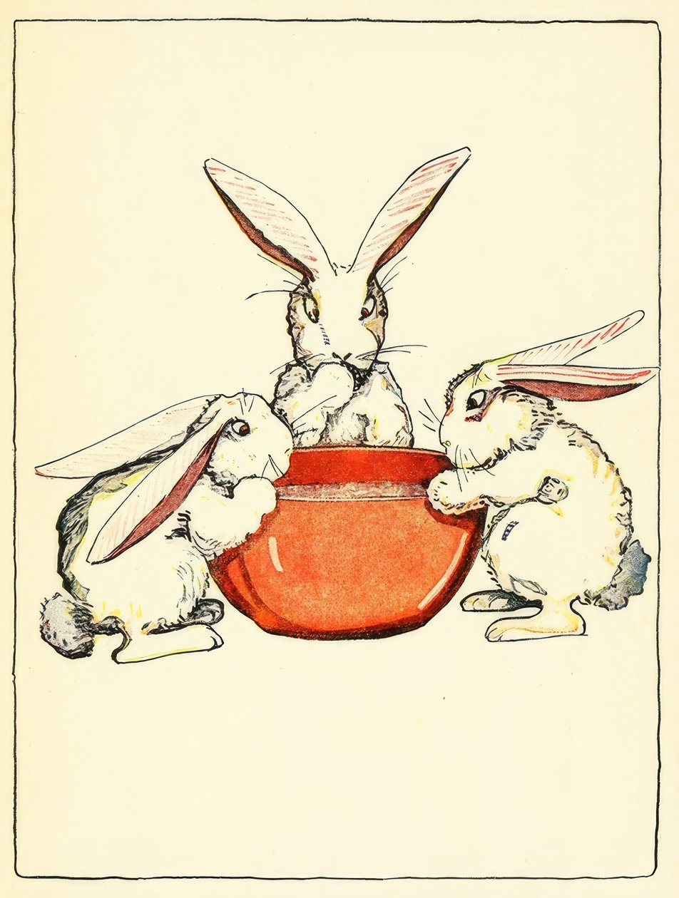 Flopsy, Mopsy e Cotton-Tail avevano pane e latte e more per cena da American School