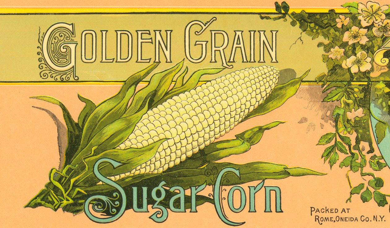 Etichetta del prodotto Golden Grain Sugar Corn, c.1890 da American School