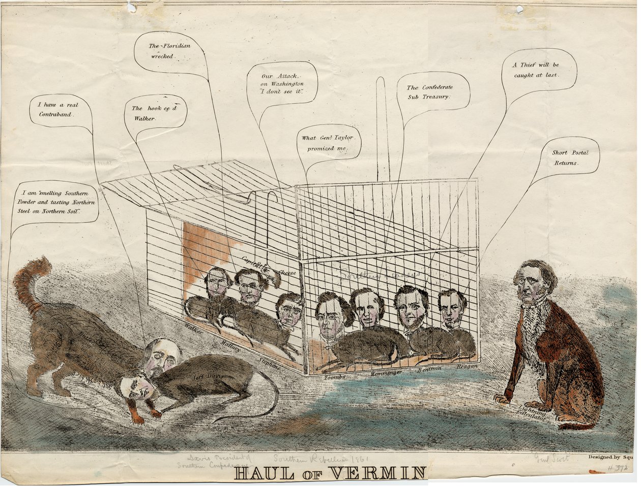 Raccolta di parassiti, disegnato da Squ., 1861 da American School