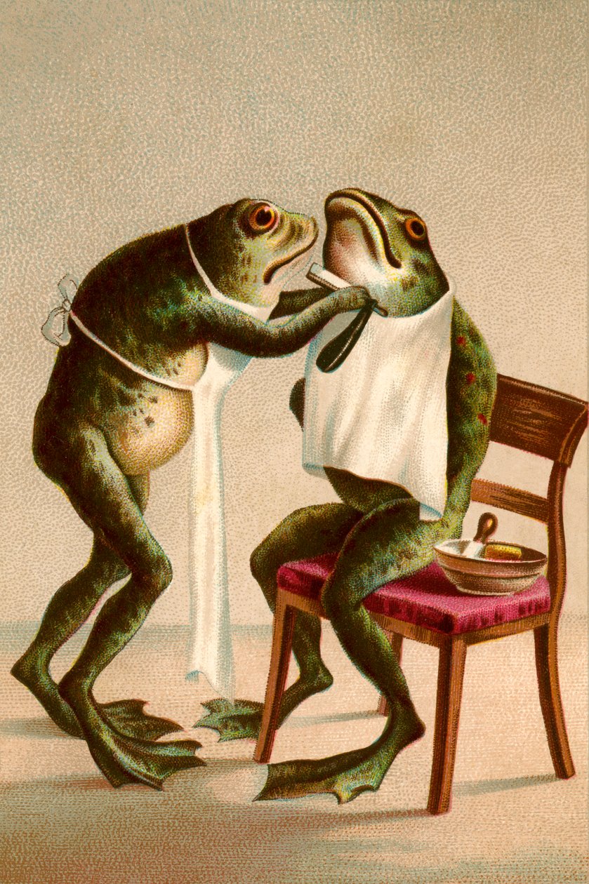Illustrazione umoristica di una rana che si fa la barba da American School