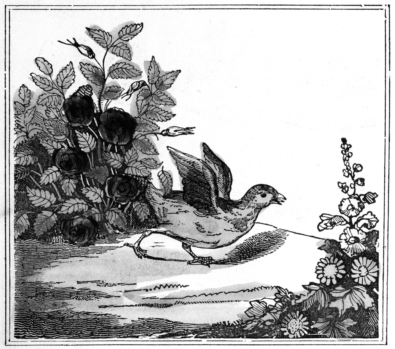 Illustrazione da La Storia Straordinaria di Chicken Little, 1840 da American School