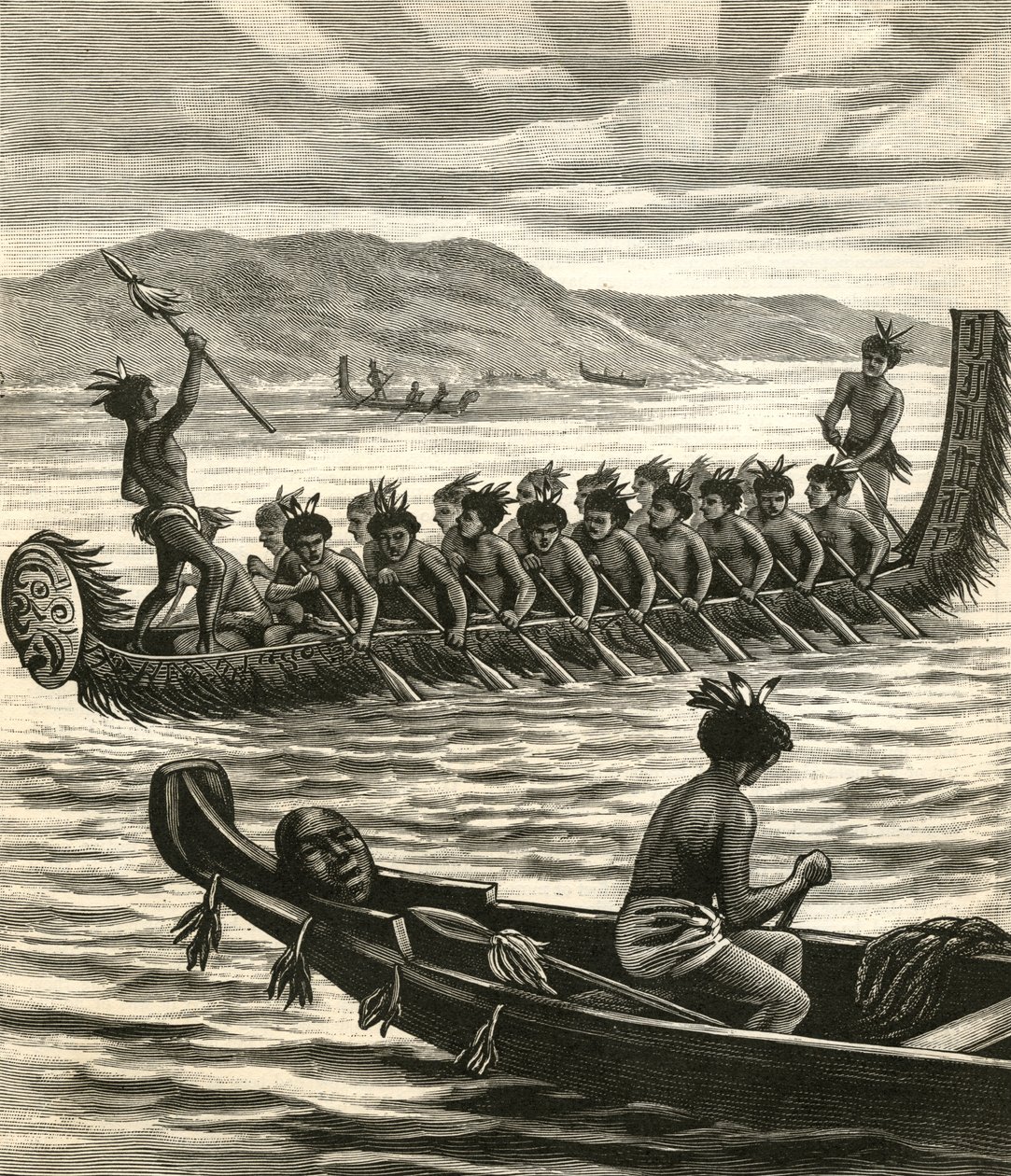 Illustrazione di guerrieri Maori in canoa da American School