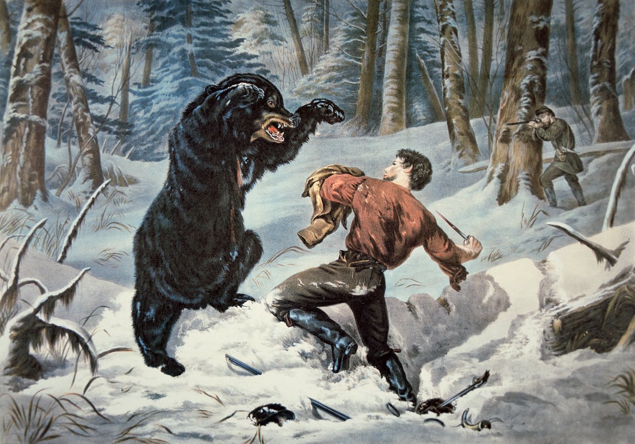 Jedediah Smith (1799-1831) attaccato da un orso grizzly, c.1861 (litografia a colori) da American School