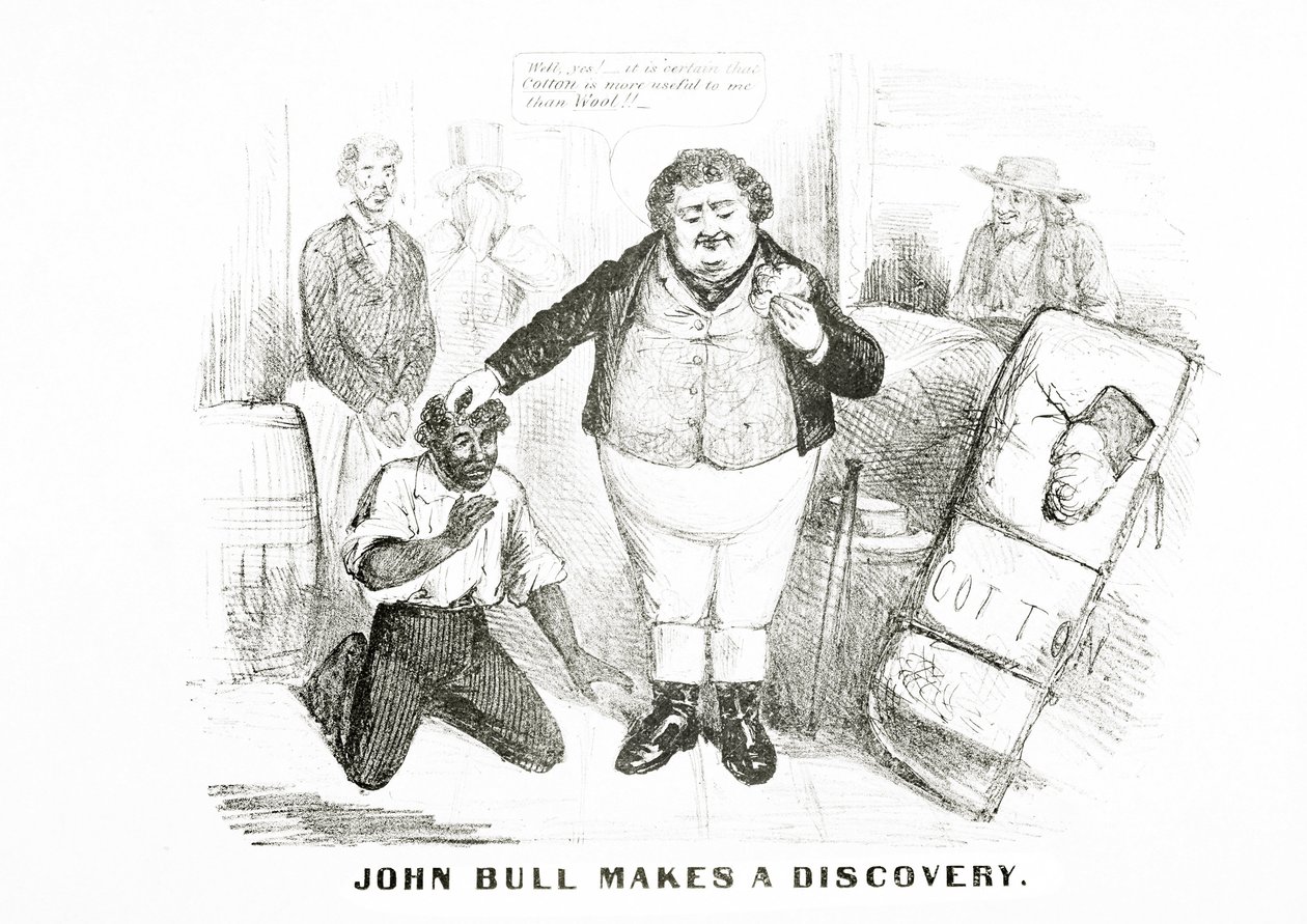 John Bull fa una scoperta (litografia) da American School