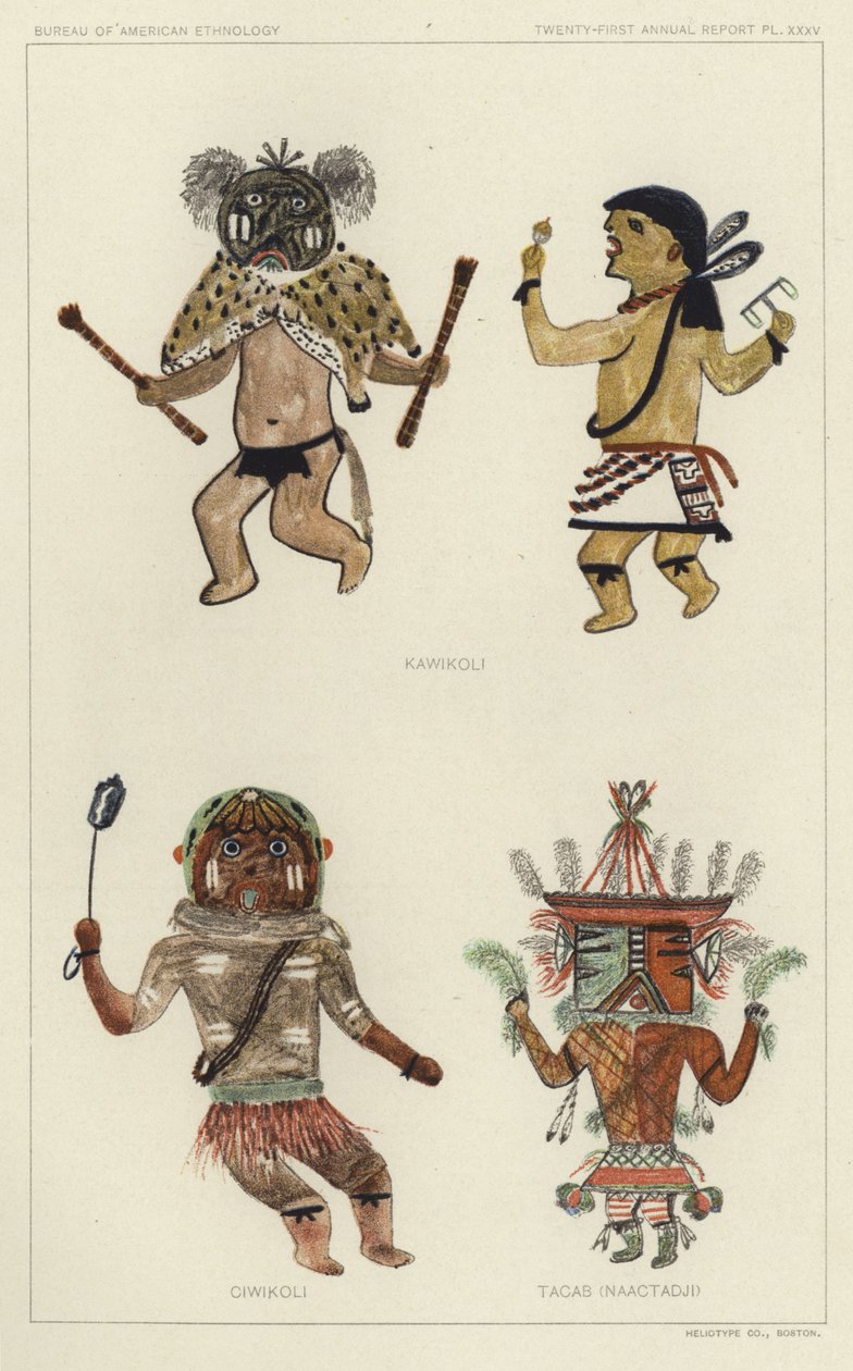 Kawikoli, Ciwikoli, Tacab (Naactadji) (litografia a colori) da American School