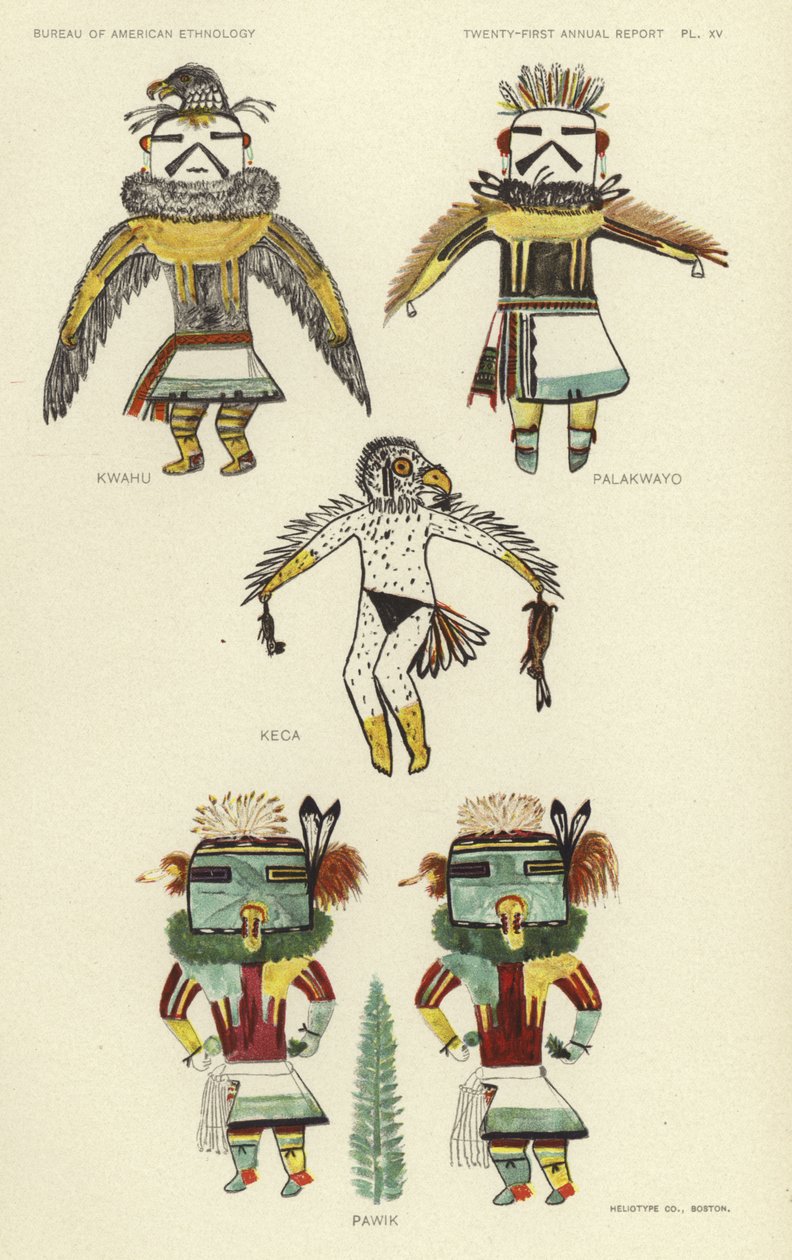 Kwahu, Palakwayo, Keca, Pawik (litografia a colori) da American School