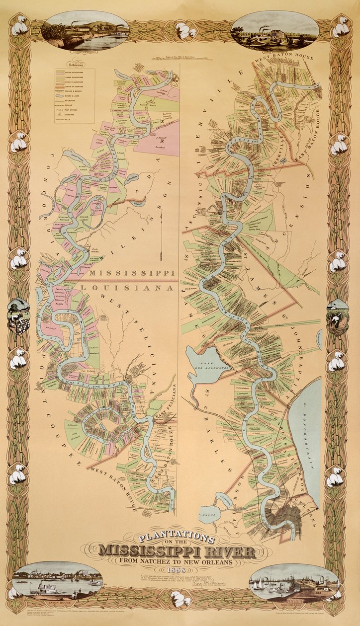 Mappa raffigurante le piantagioni sul fiume Mississippi da Natchez a New Orleans, 1858 da American School