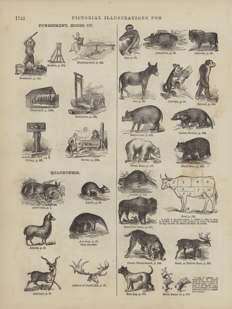 Pagina tratta dal Dizionario completo di Webster (George Bell da American School