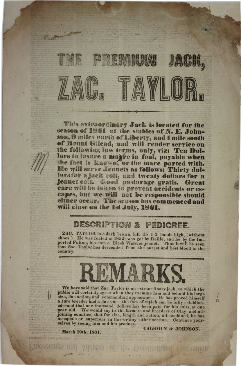 Procedimenti e discorso della Convenzione Costituzionale, c.19 marzo 1861 da American School