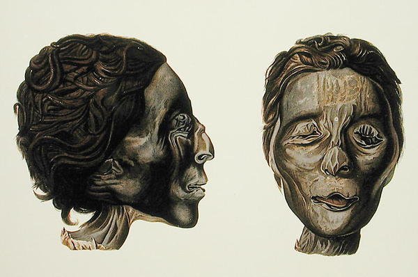 Profilo e volto di una mummia femminile da Giza, Volume II, tavola XXVII da Ancient Egypt di Samuel Augustus Binion, pubblicato 1887 da American School
