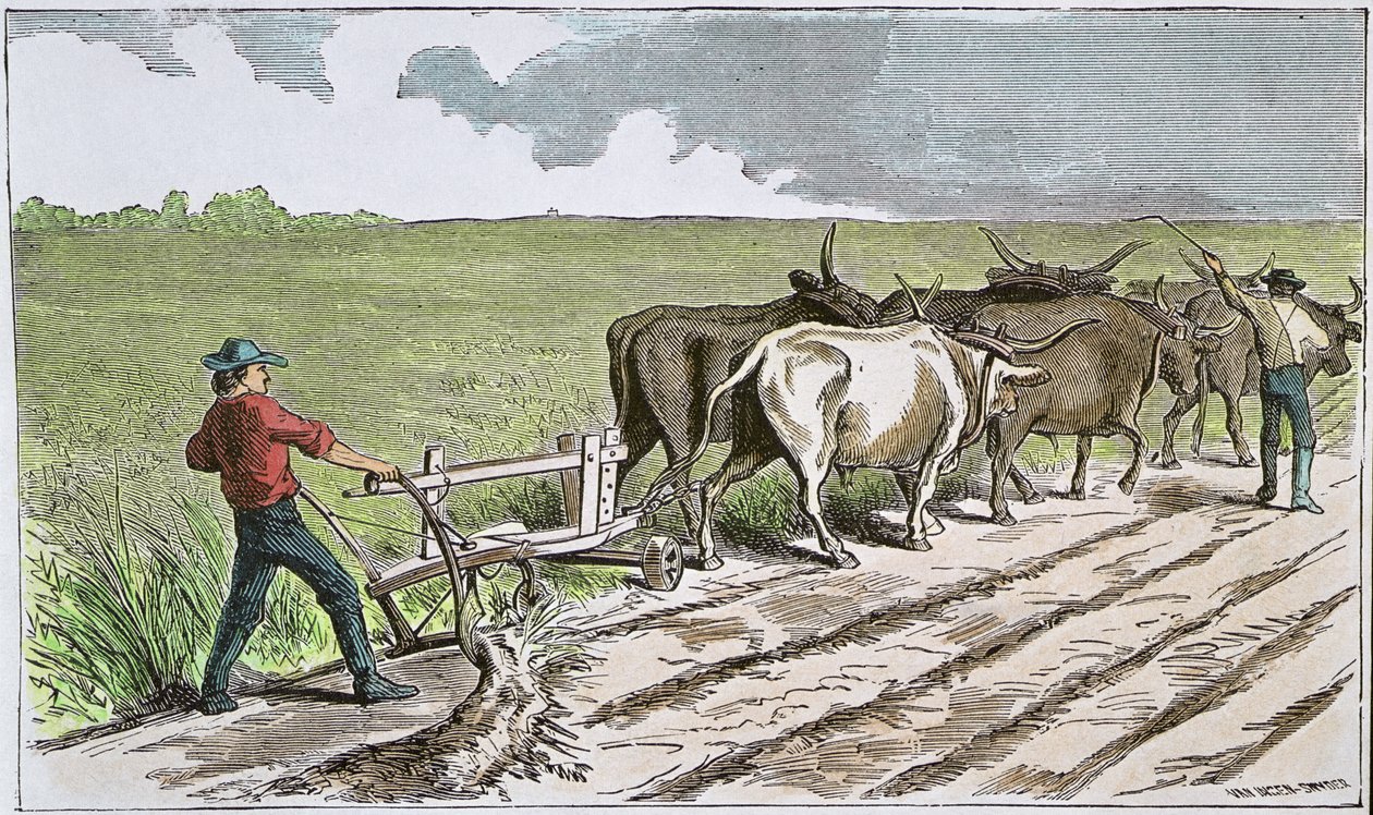 Coloni del West americano, c.1880 (incisione colorata) da American School