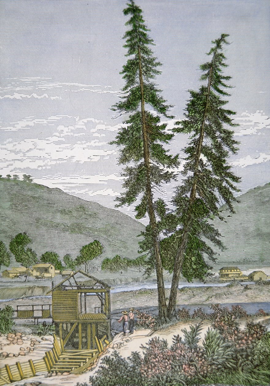 Mulino di Sutter da American School
