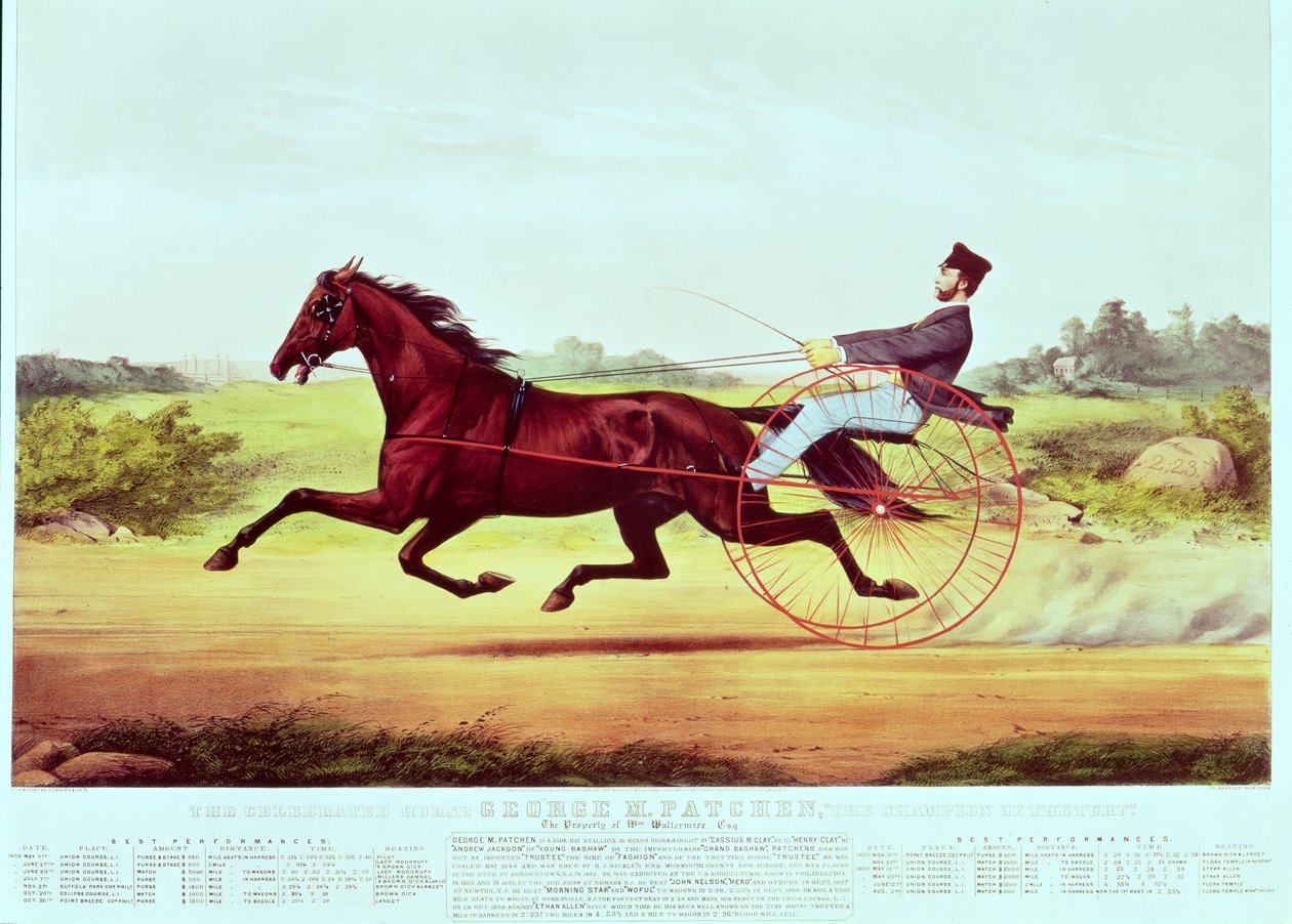 Il celebre cavallo, George M. Patchen, il campione del turf, inciso da Nathaniel Currier e James Merritt Ives, 1860 da American School