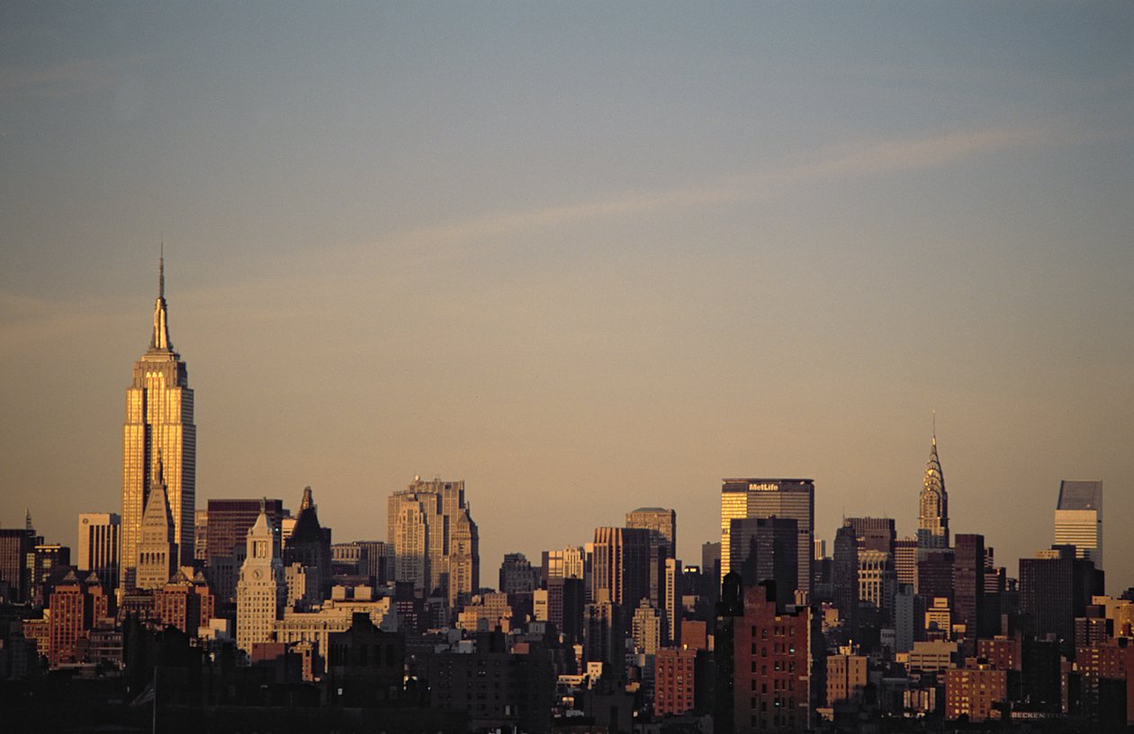 Lo skyline di Manhattan da American School