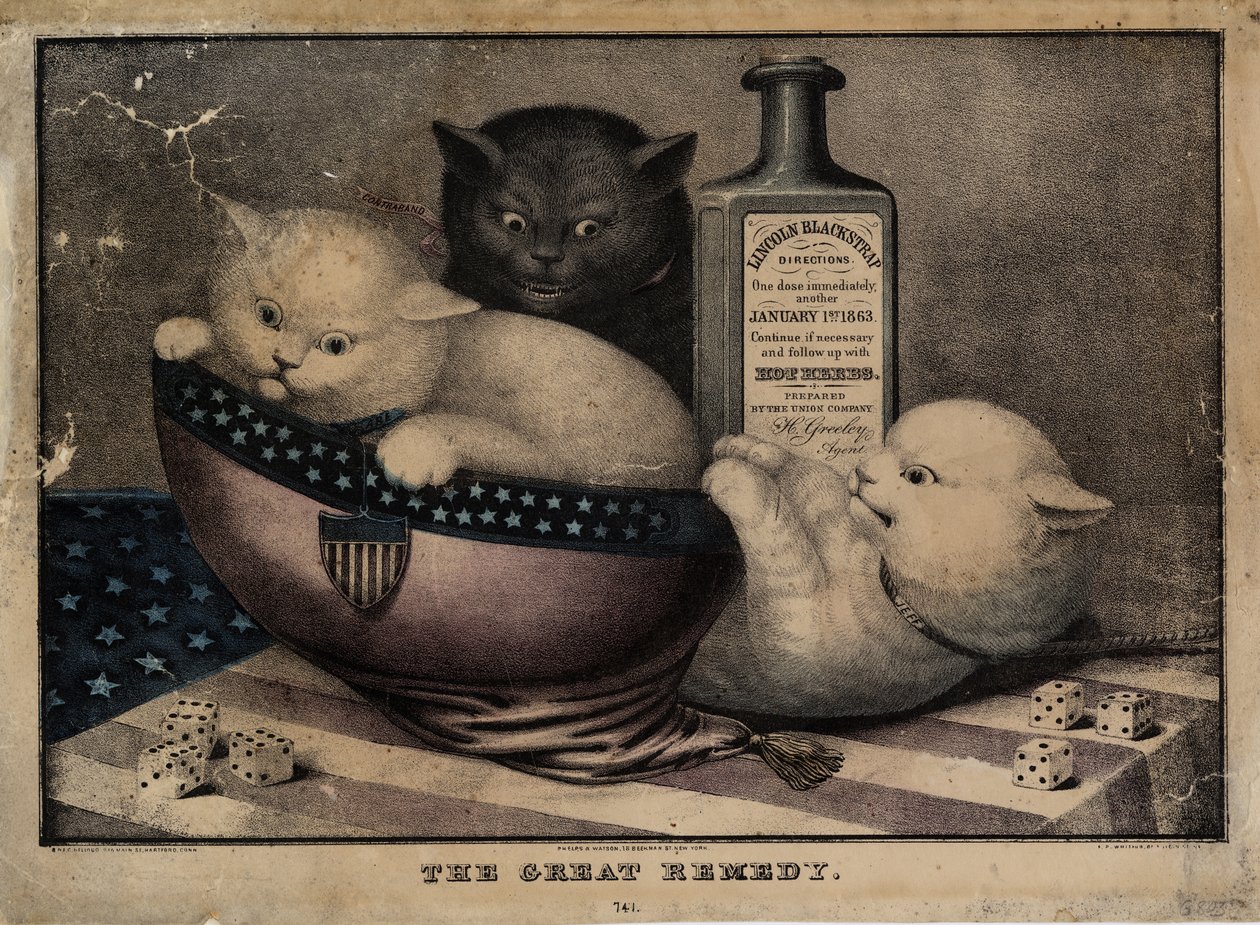 Il grande rimedio, pubblicato da E.B. e E.C. Kellogg, Hartford Ct., e Phelps e Watson, New York, e F.P. Whiting, New York, c. 1863 da American School