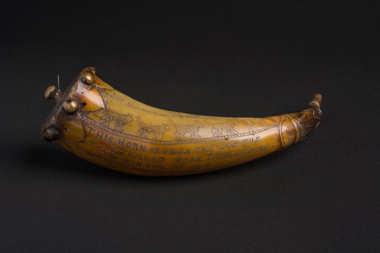 Immagine sconosciuta da American School