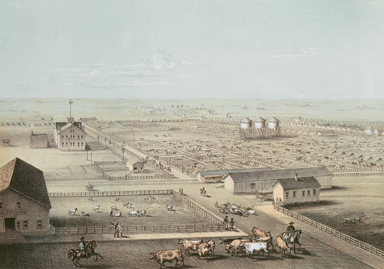 Union Stockyards, Chicago da American School